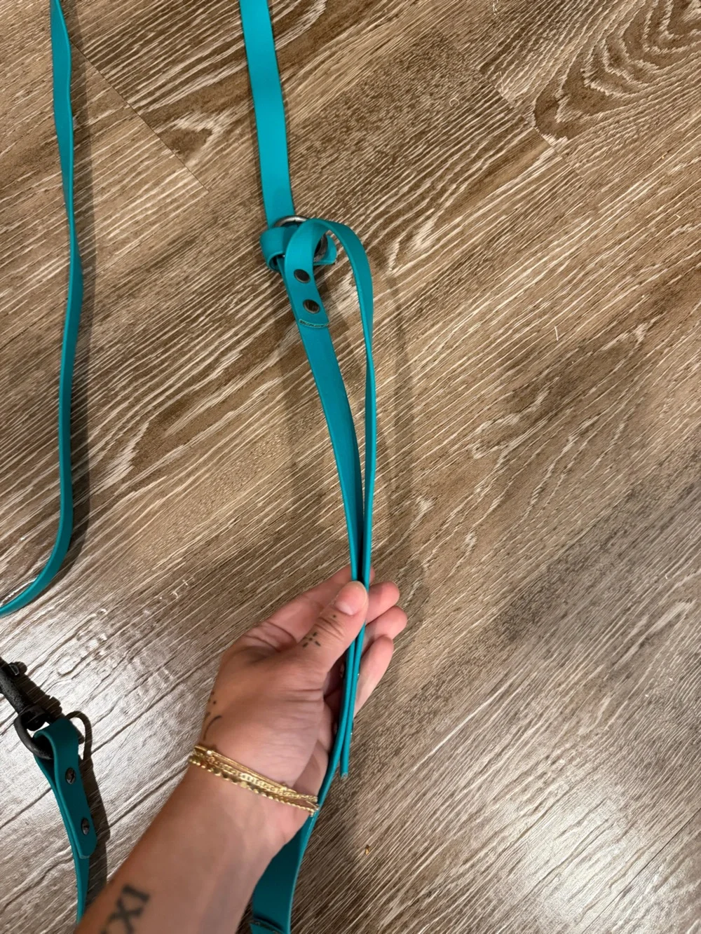 Biothane Leash & collars